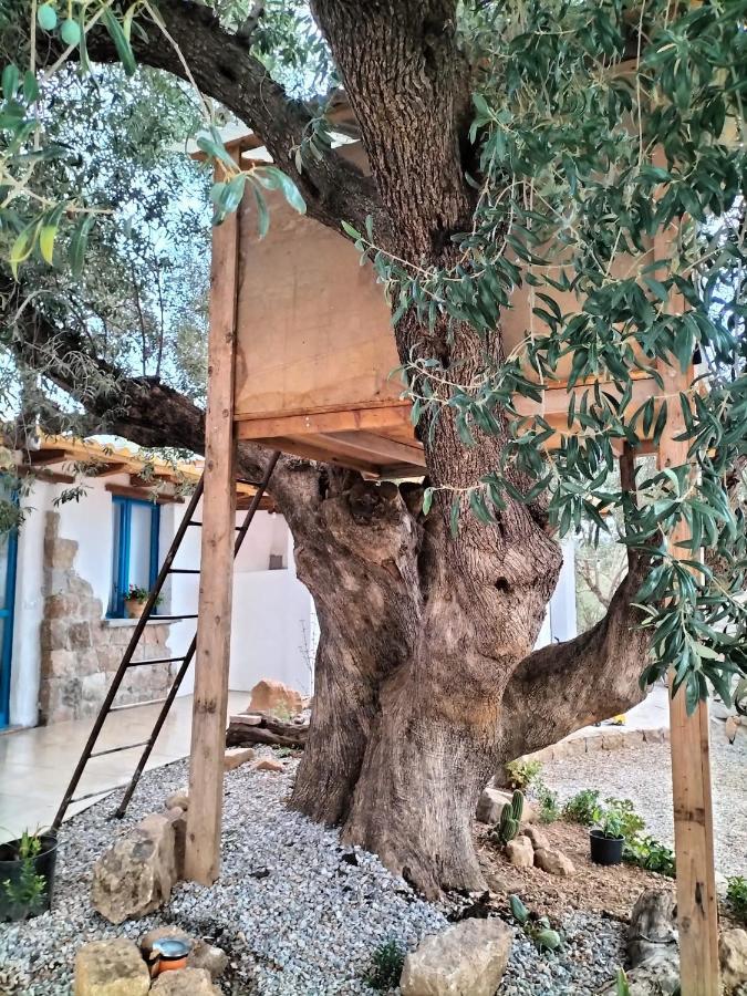 Bed and Breakfast Sole In Ogliastra à Jerzu Extérieur photo