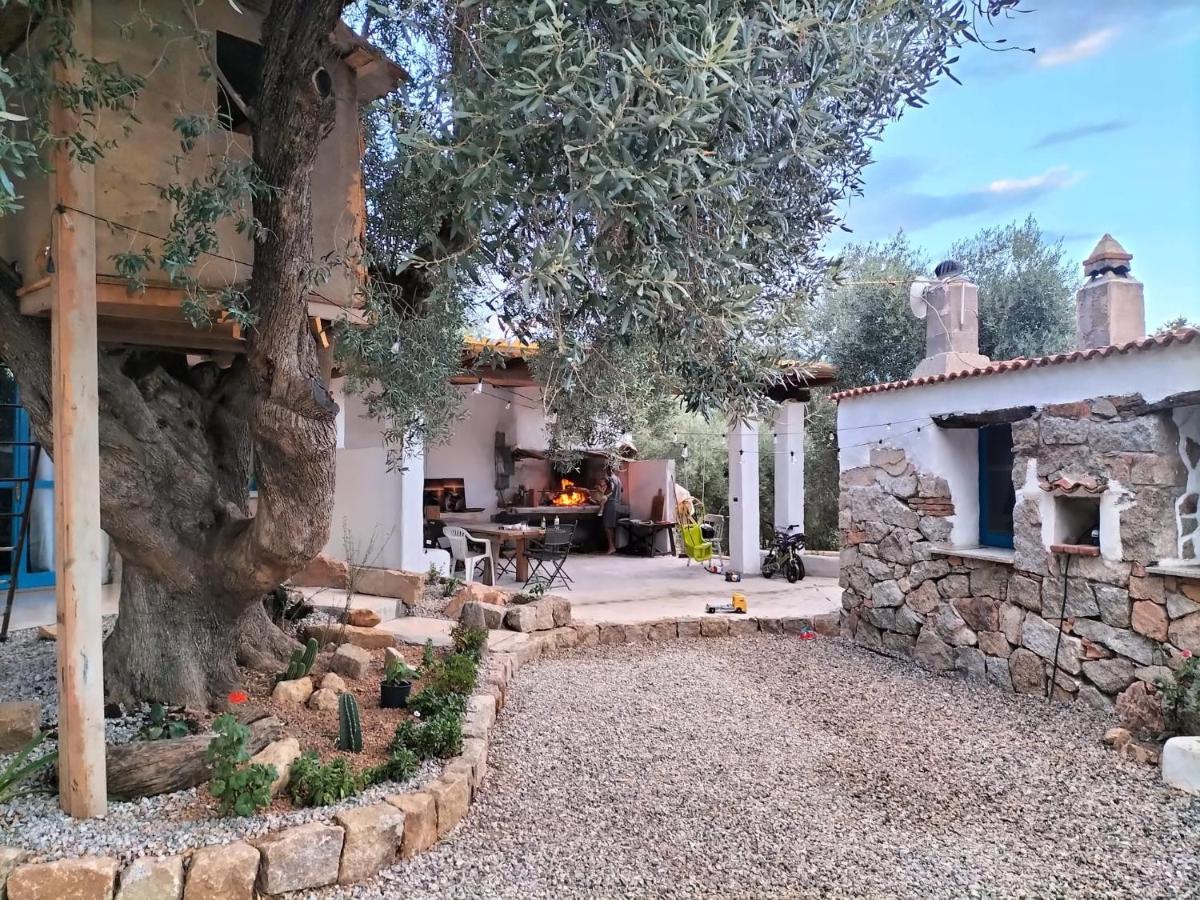 Bed and Breakfast Sole In Ogliastra à Jerzu Extérieur photo