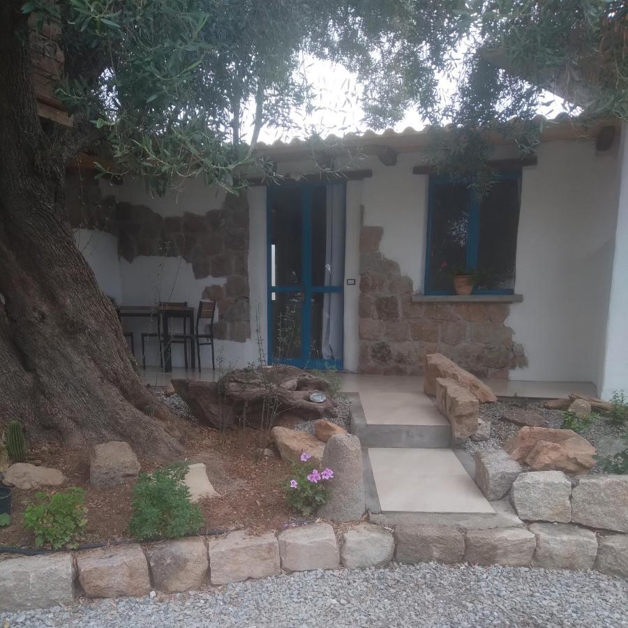 Bed and Breakfast Sole In Ogliastra à Jerzu Extérieur photo
