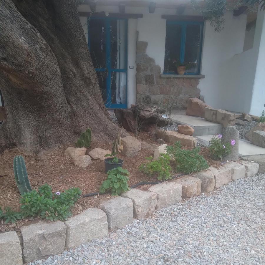 Bed and Breakfast Sole In Ogliastra à Jerzu Extérieur photo