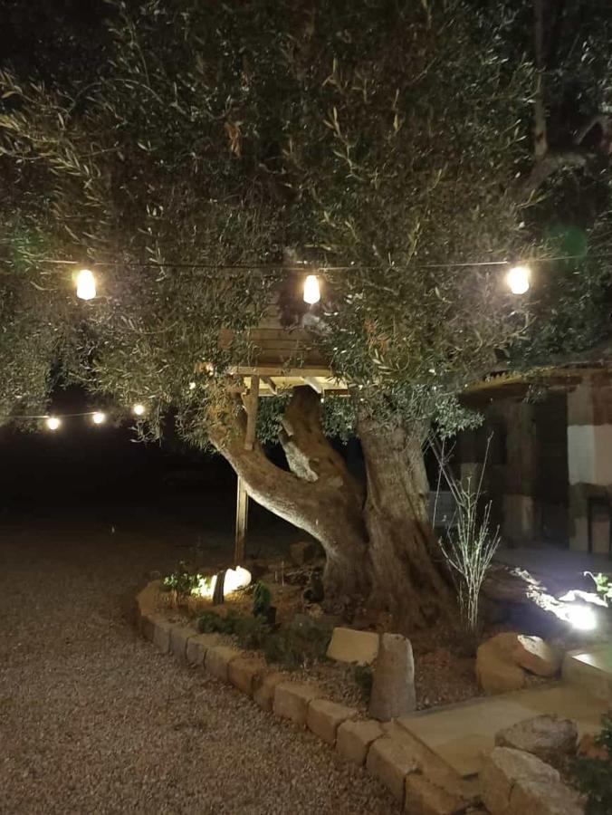 Bed and Breakfast Sole In Ogliastra à Jerzu Extérieur photo